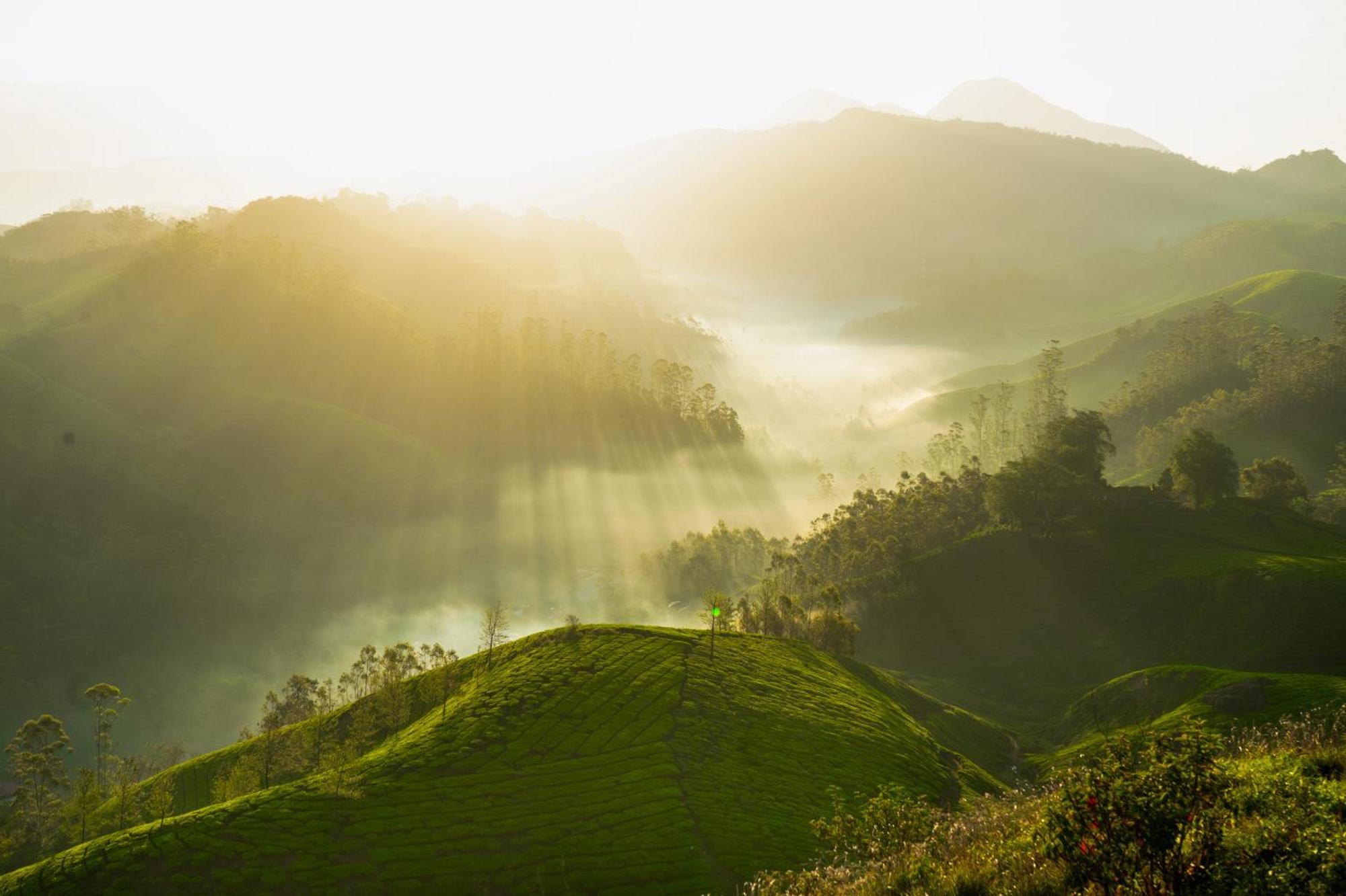 Camelot Resort Munnar Exterior foto