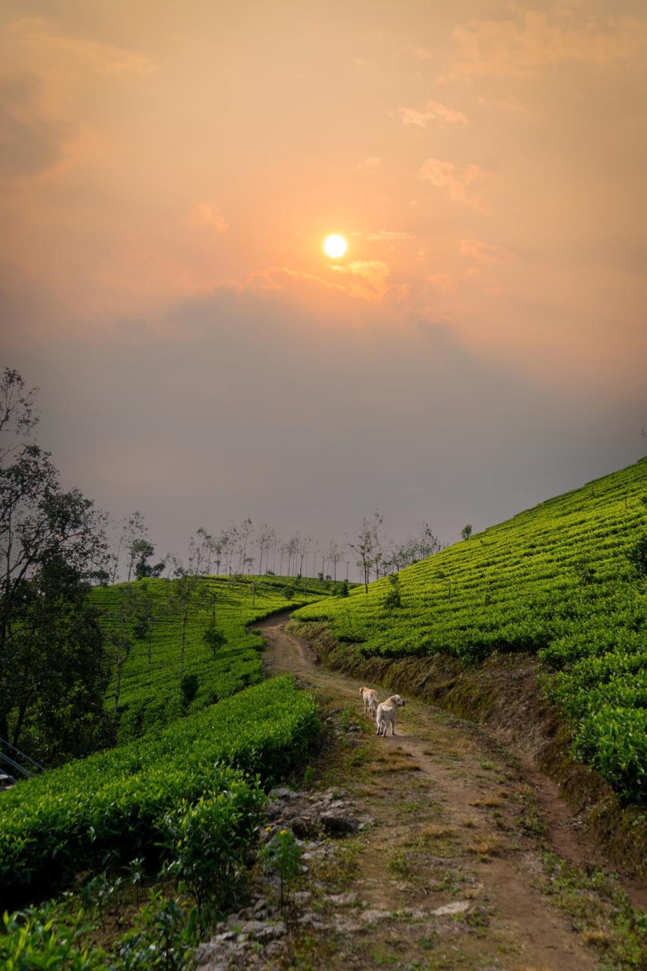 Camelot Resort Munnar Exterior foto